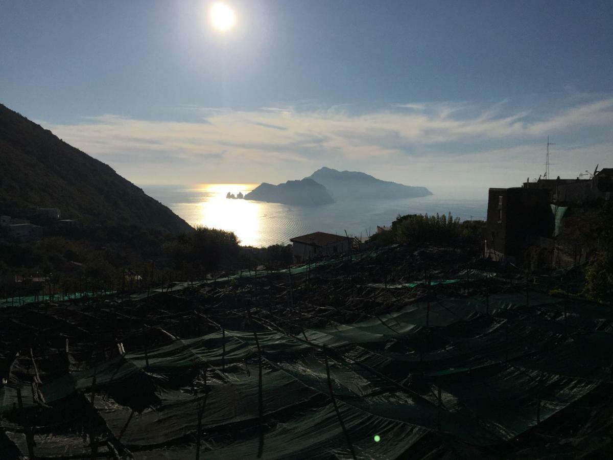 La Casa Di Paola Villa Nerano Eksteriør bilde